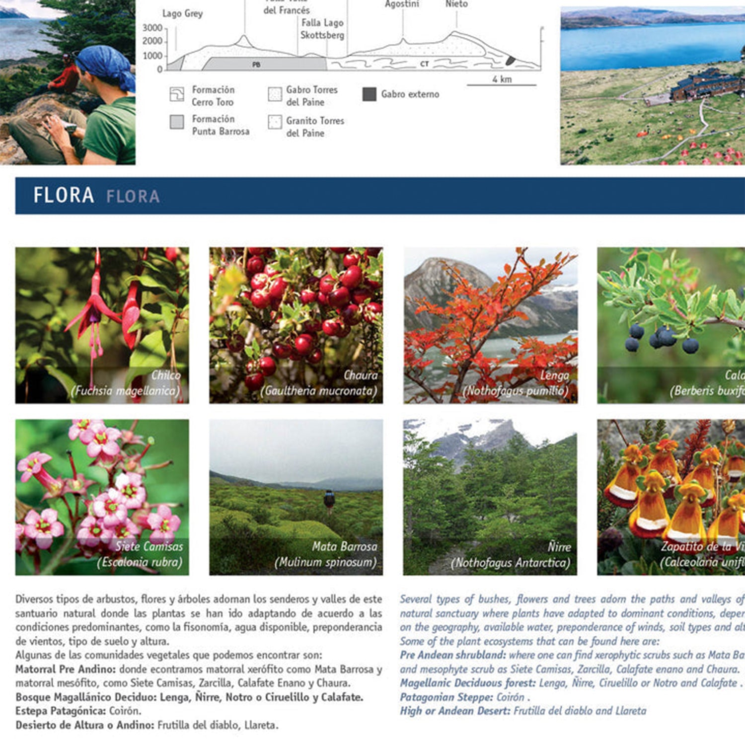 61f447df559c183de63a4099