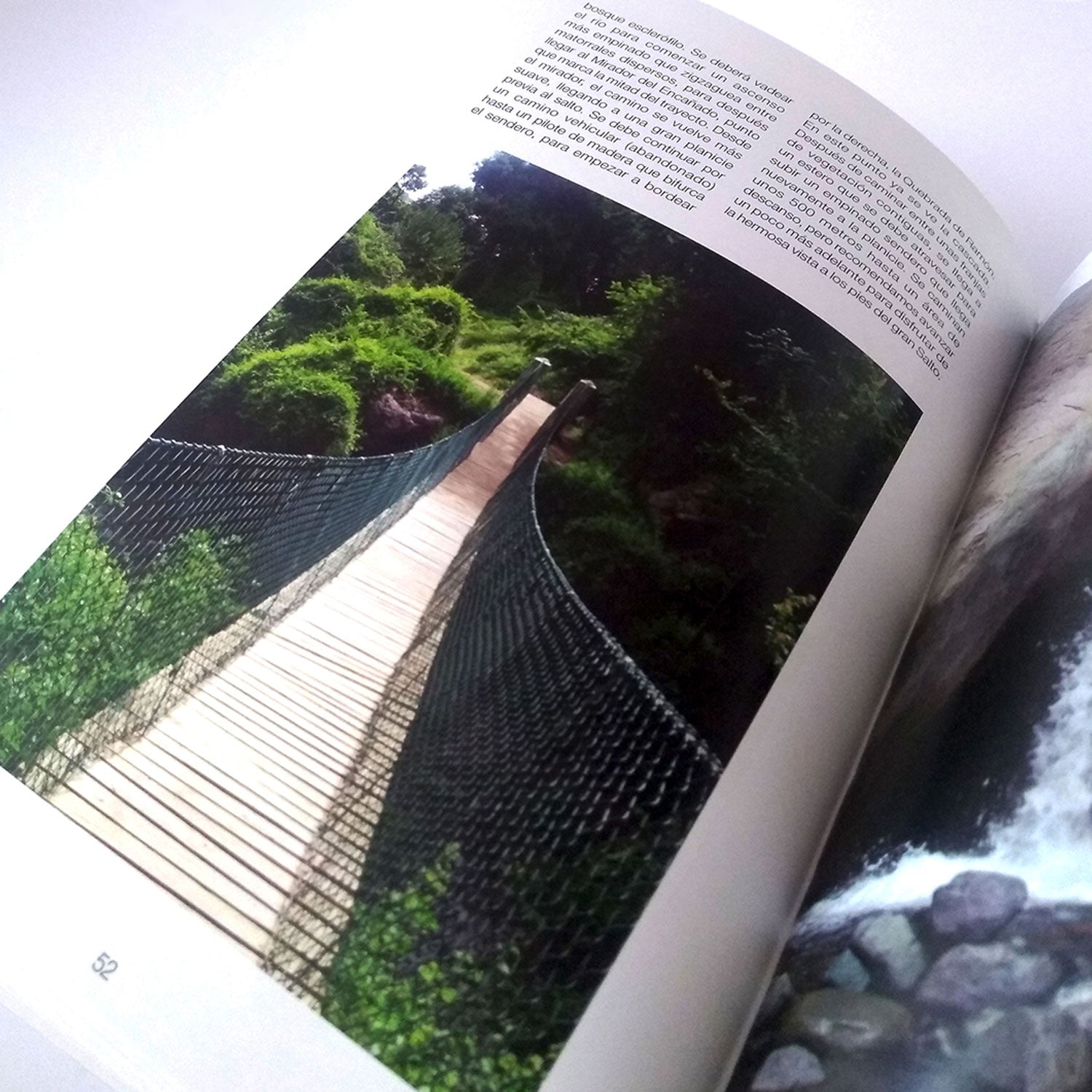 5d529d3d6e90b55c26284c83