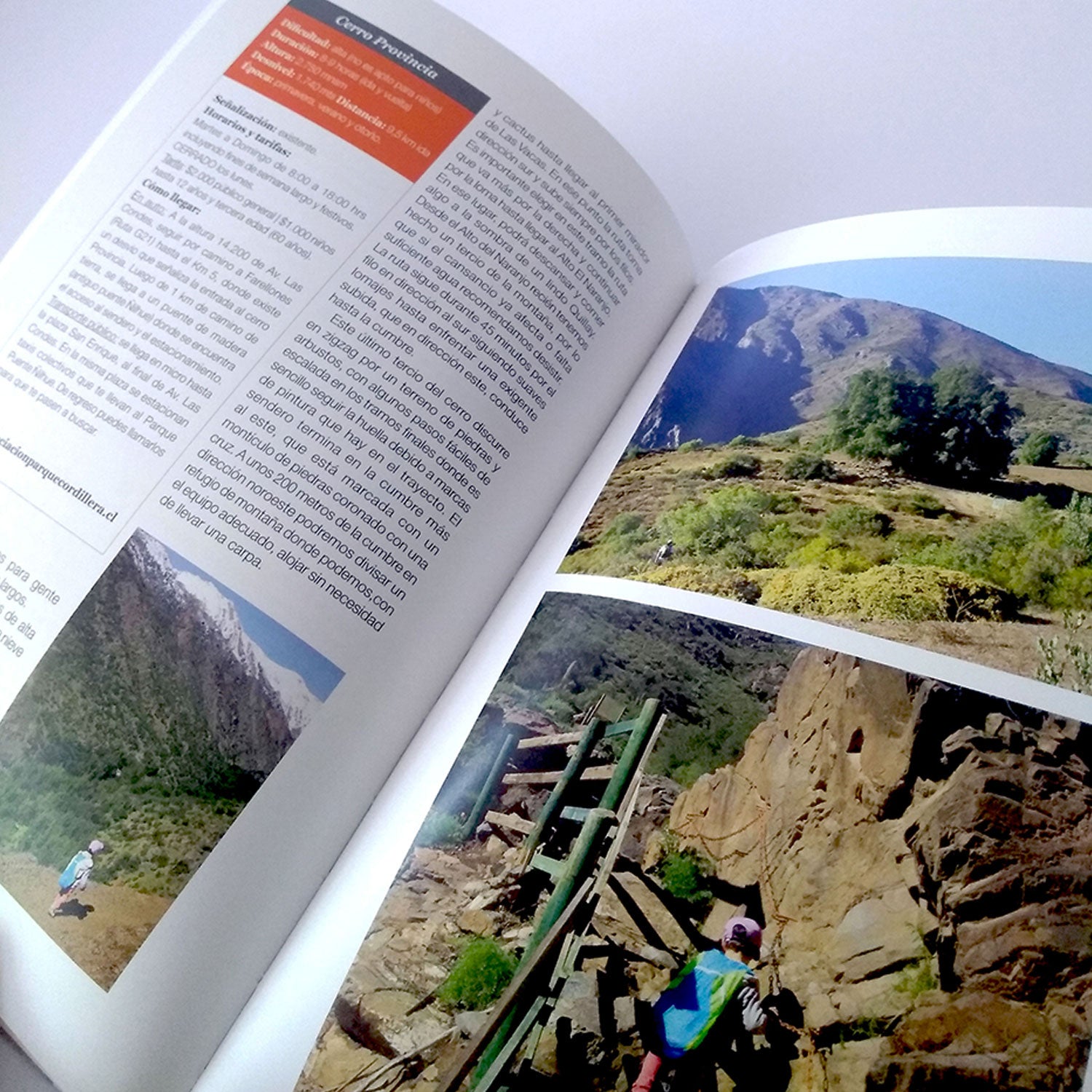 5d529d236e90b55c26284c82