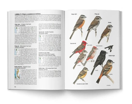 LIBRO ILUSTRADO AVES DE CHILE