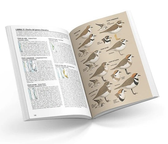 LIBRO ILUSTRADO AVES DE CHILE