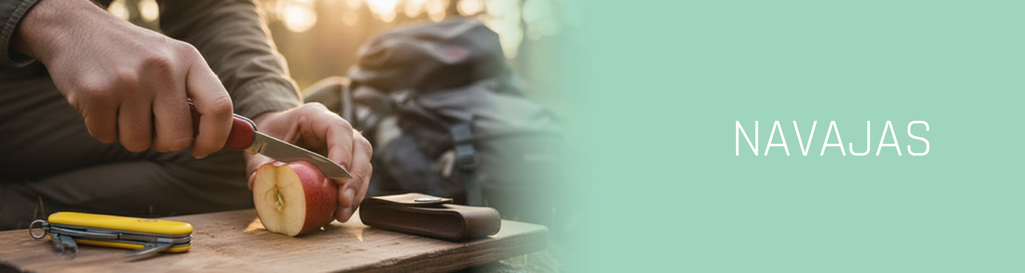 Banner de promoción