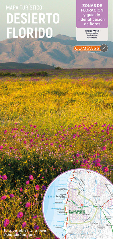 Mapa Desierto Florido