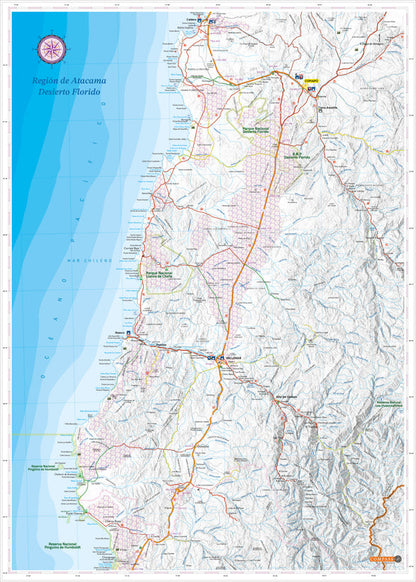 Mapa Desierto Florido