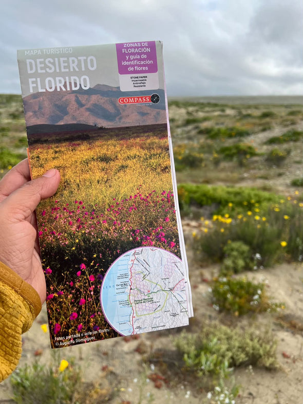 Mapa Desierto Florido