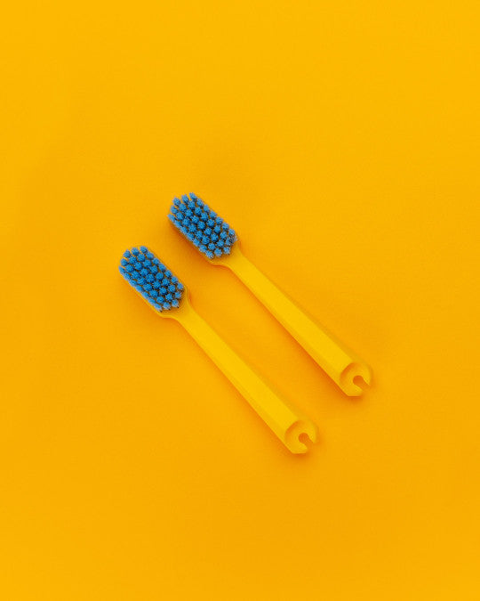 CEPILLO DIENTES REPUESTO DUO - Pilgrim Tienda para viajeros