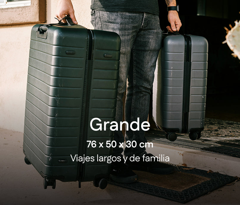 Ver todo