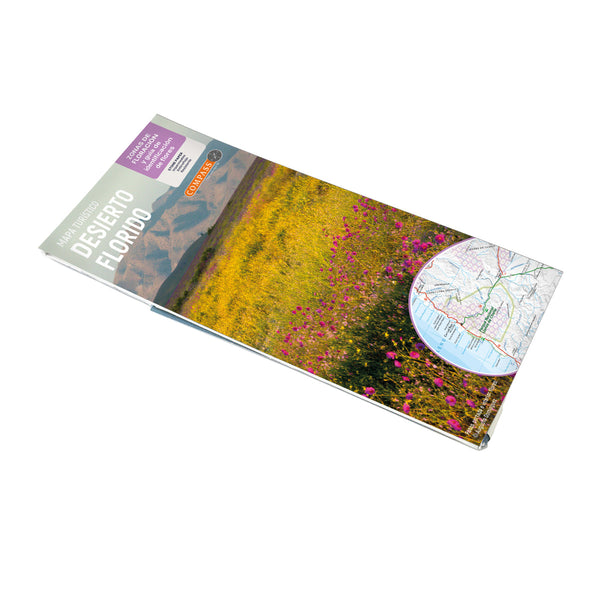 Mapa Desierto Florido