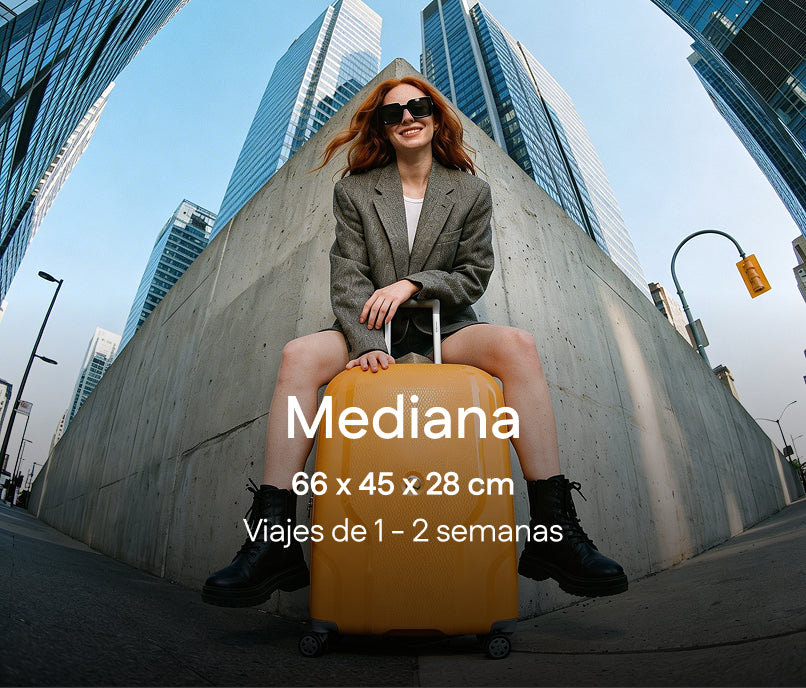 Ver todo