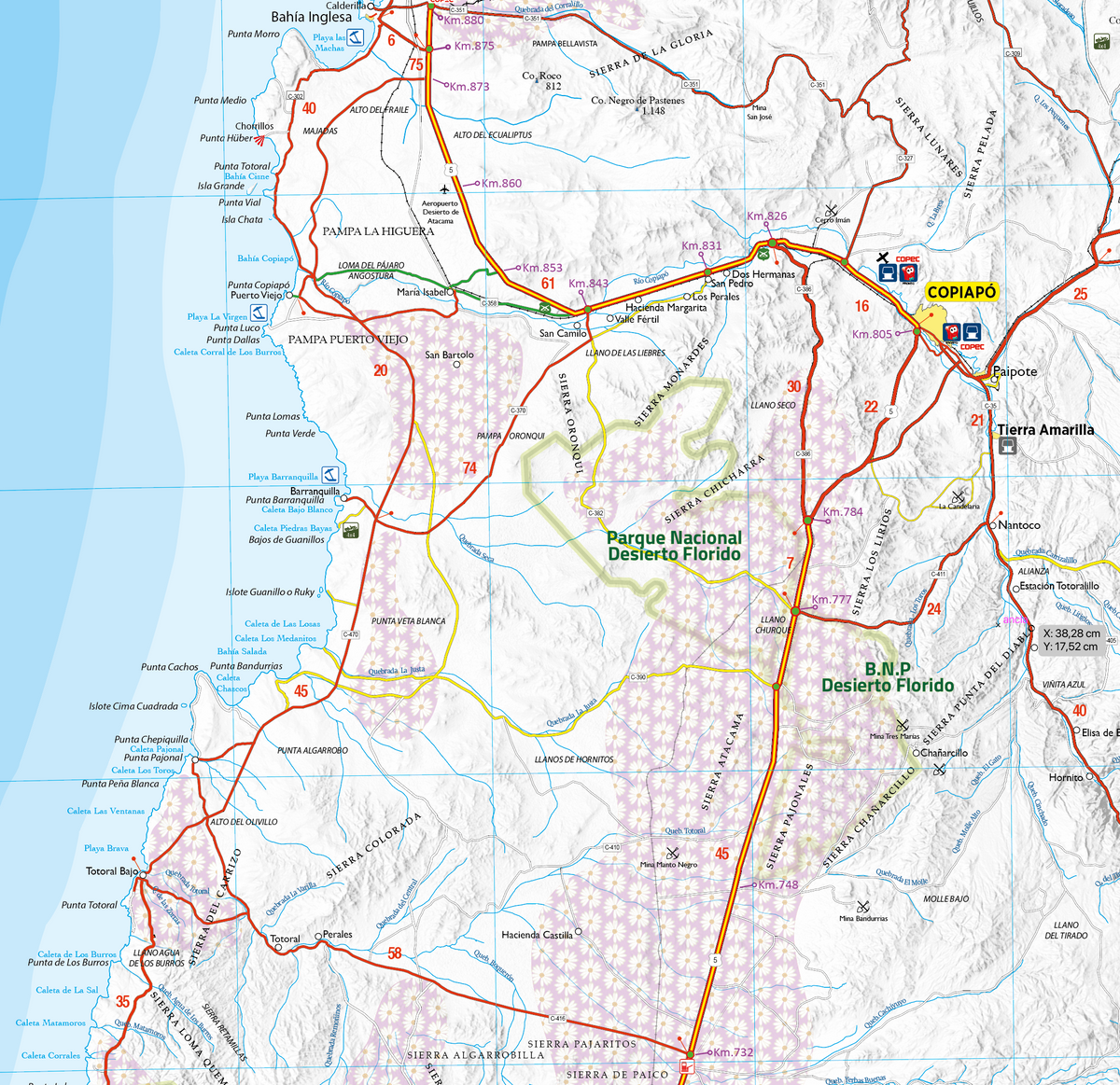 Mapa Desierto Florido