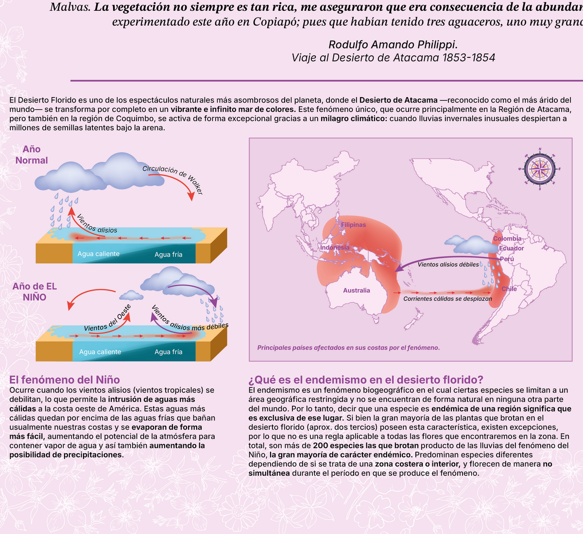 Mapa Desierto Florido