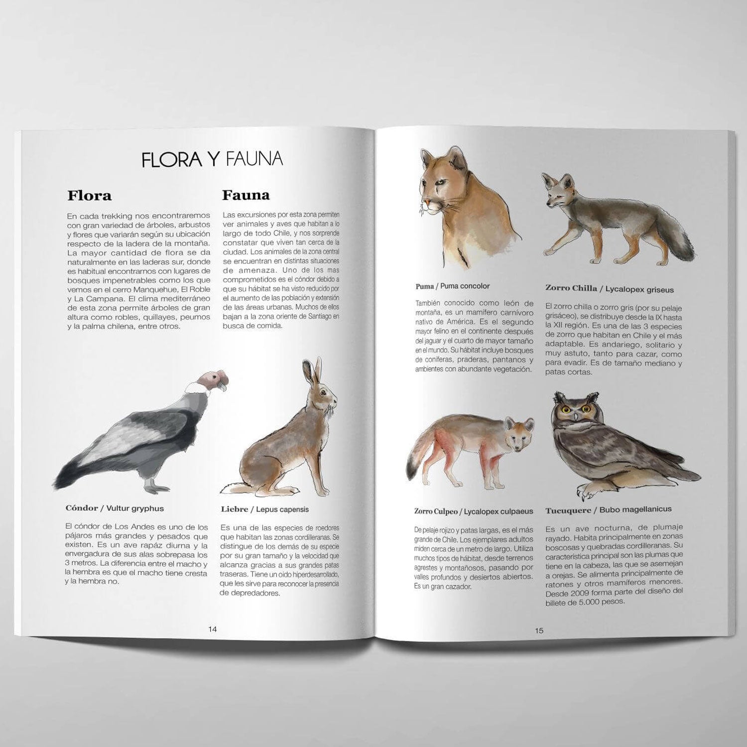 GUIA TREKKING ALREDEDOR DE SANTIAGO – Pilgrim Travel Store